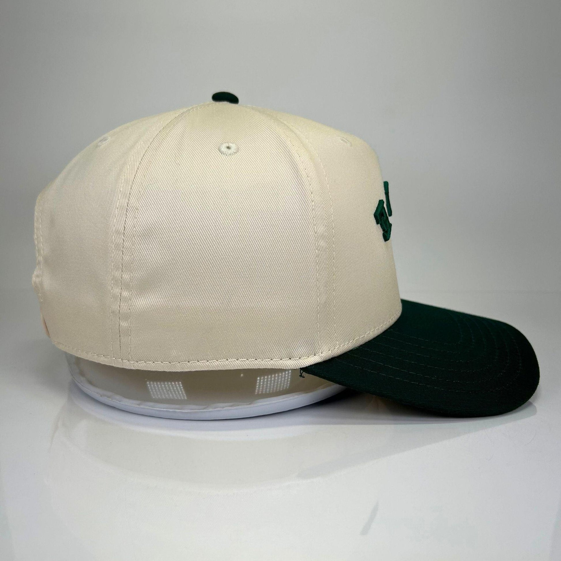 Minnesota NICE Vintage Snapback (Green) | Minny Co. - Minny Golf Co